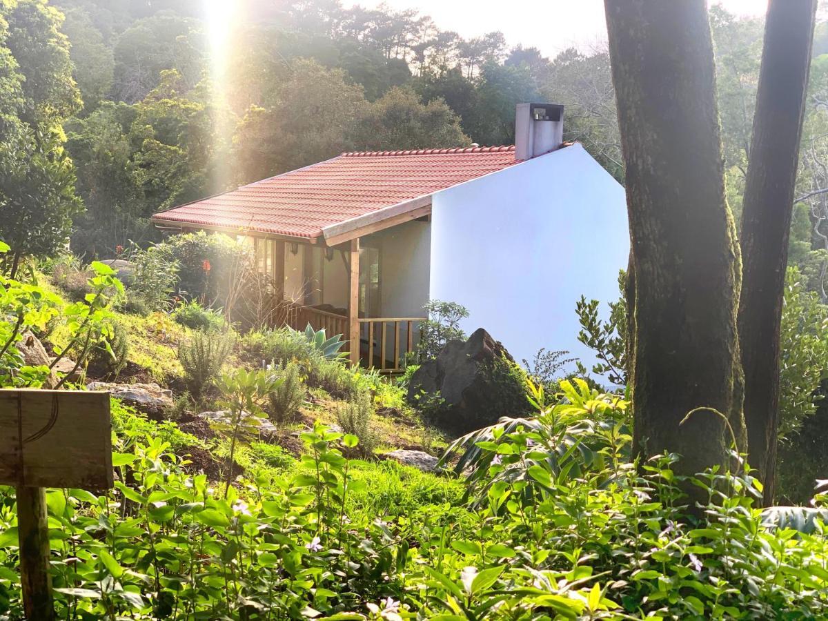 Eighteen21 Houses - Secluded Charm Cottage In Quinta Velha Sintra Exterior photo